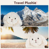 Bunny Stuffed Animal, Microwavable Stuffed Animal for Period Cramps Pain, Rabbit plush for Anxiety Relief