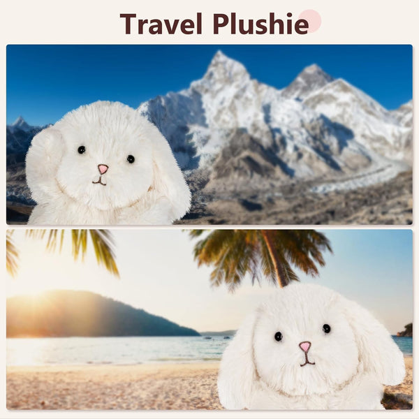 Bunny Stuffed Animal, Microwavable Stuffed Animal for Period Cramps Pain, Rabbit plush for Anxiety Relief